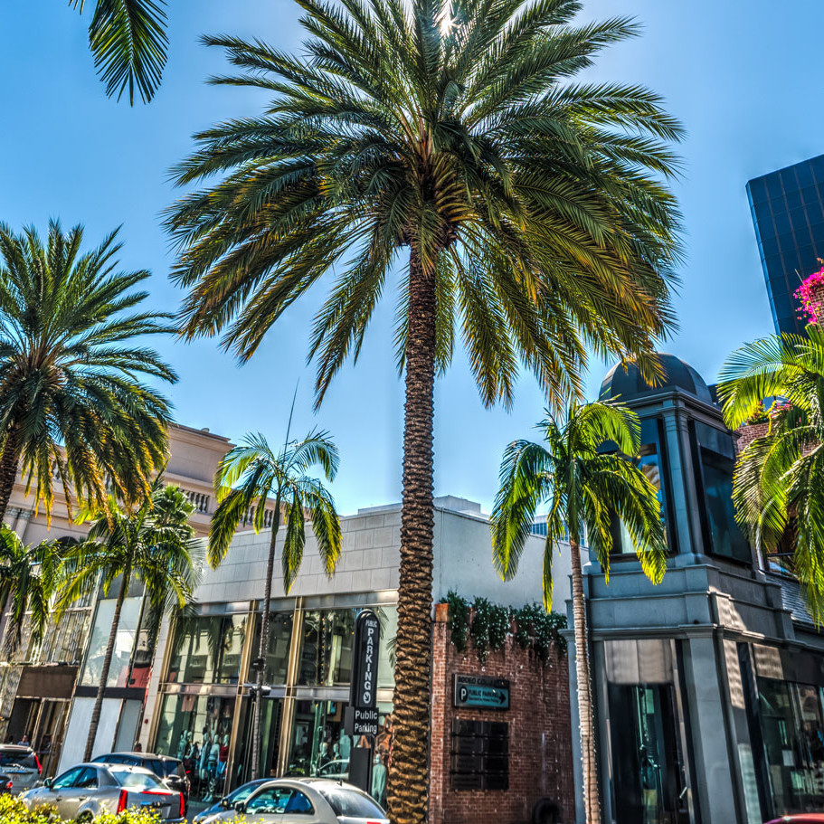 Arbor One Escrow Near Los Angeles County